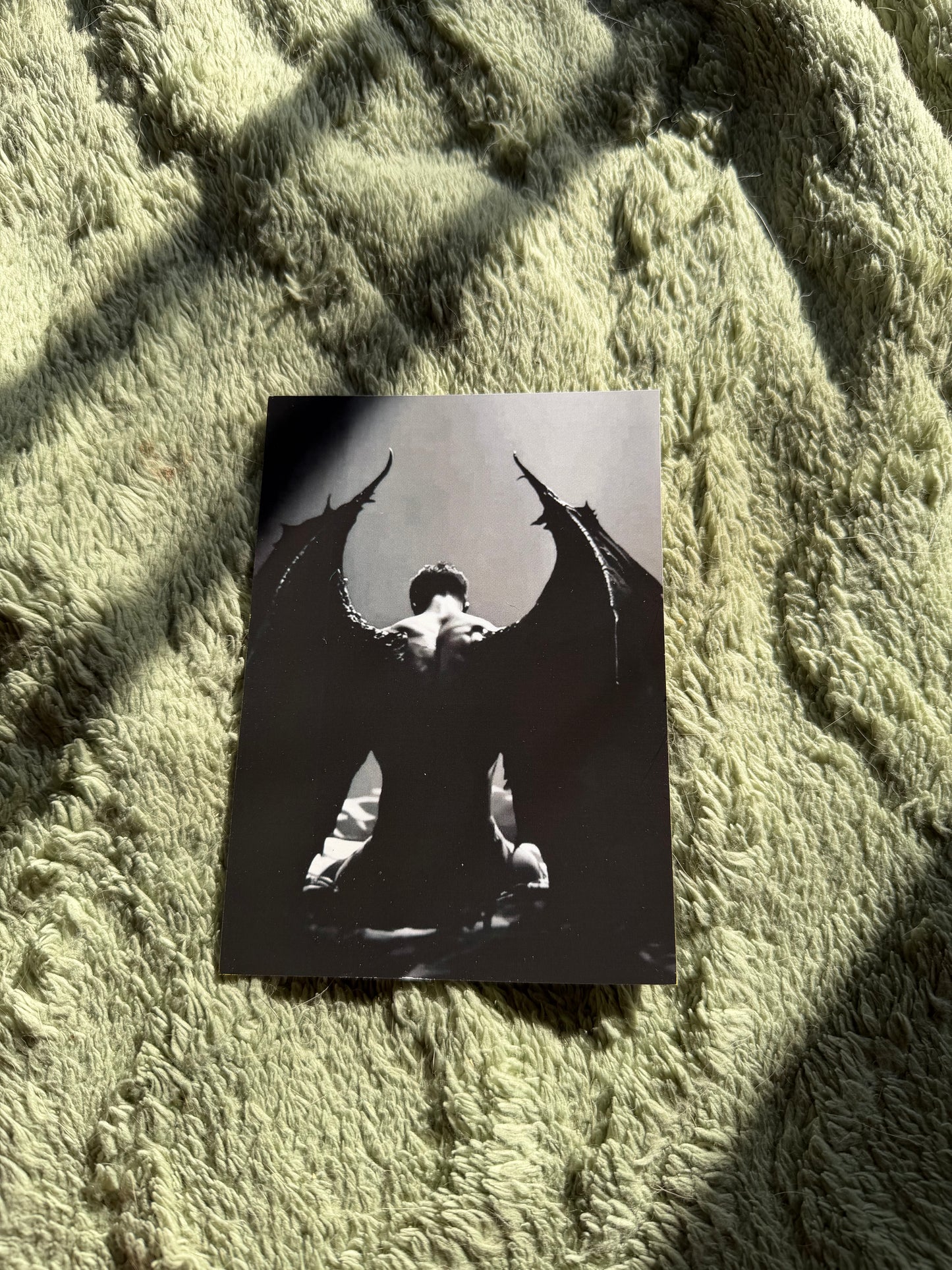 Pack de 2 prints literarios + 4 frases · Saga Acotar